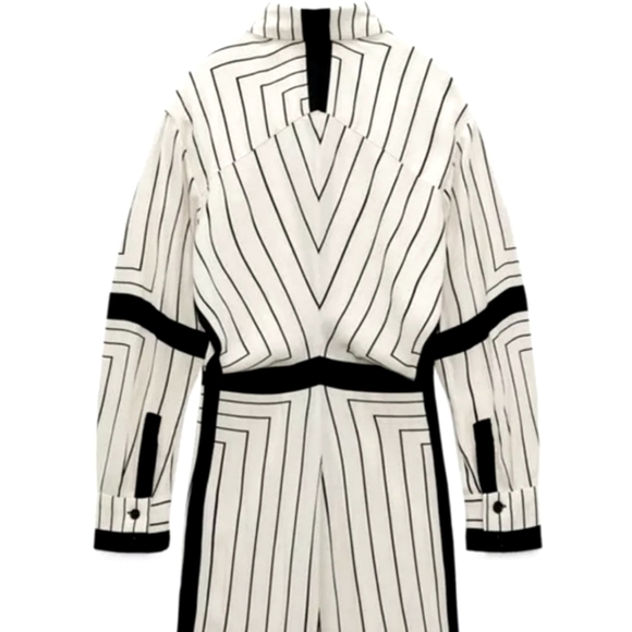 Zara Blogger Faves Striped Button Down Form fitting Maxi Dress - Picture 9 of 15